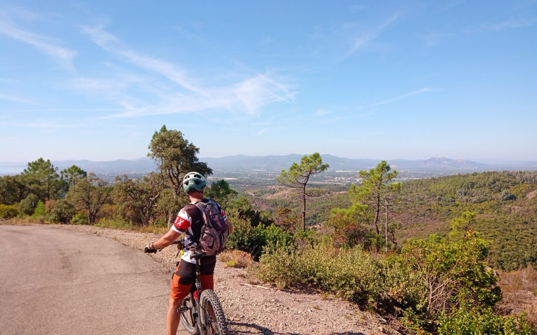 Une route sans voiture, en pleine nature