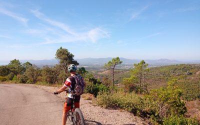 Une route sans voiture, en pleine nature