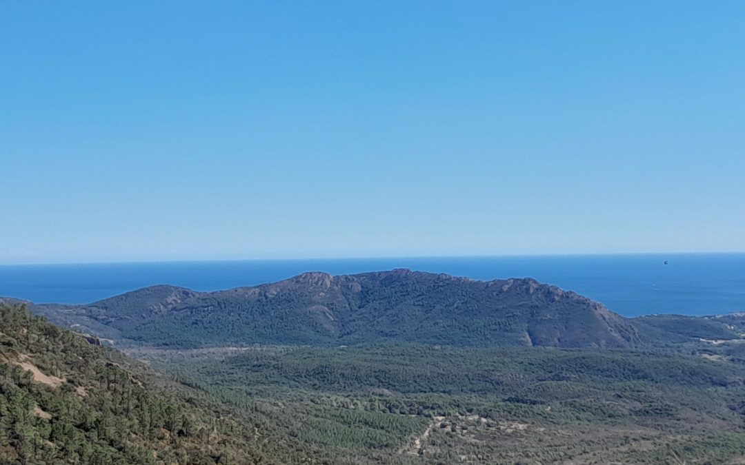 Circuit débutant avec divers panoramas