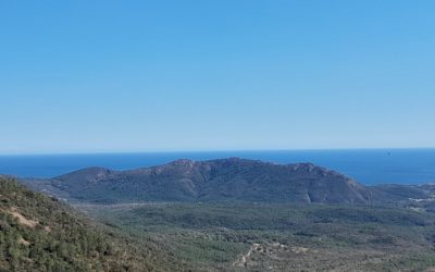 Circuit débutant avec divers panoramas