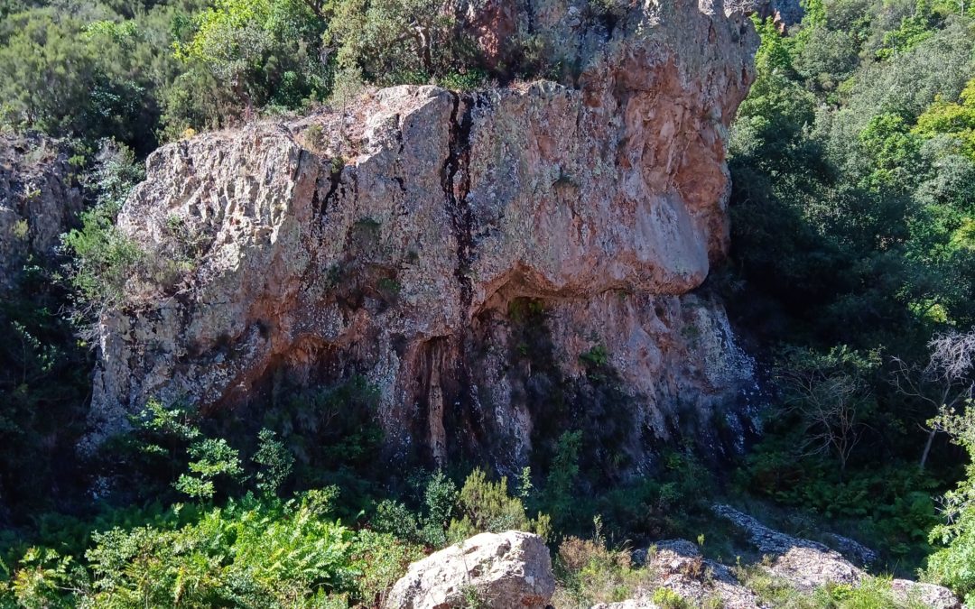Boucle pour sportifs avec un canyon de roches rouges