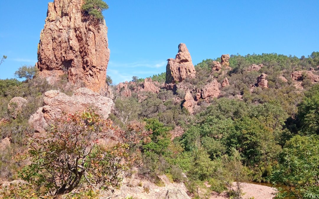 Boucle un bout d’Amérique dans un canyon de roches rouges
