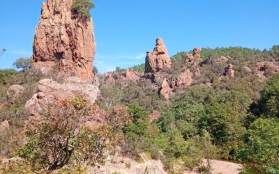 Boucle un bout d’Amérique dans un canyon de roches rouges
