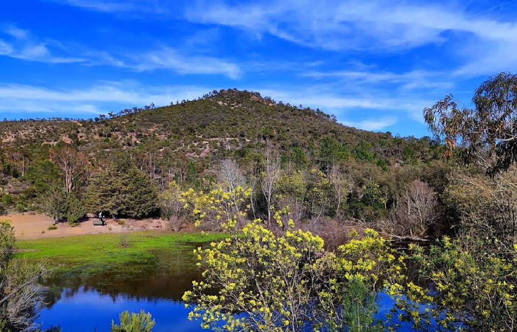 Une route sans voiture, en pleine nature avec plan d’eau