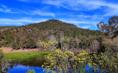 Une route sans voiture, en pleine nature avec plan d’eau